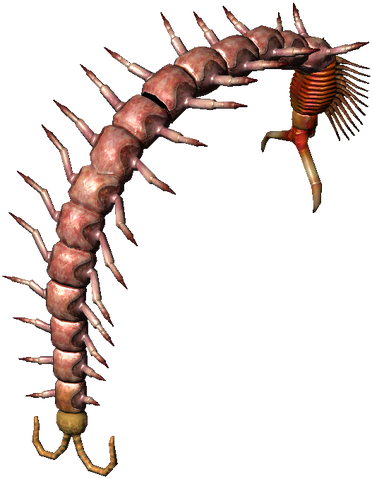 File:Bestiary Centipede full.png