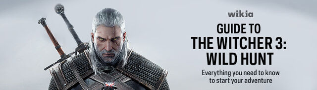 File:The-Witcher-3-Guides-Header.jpg