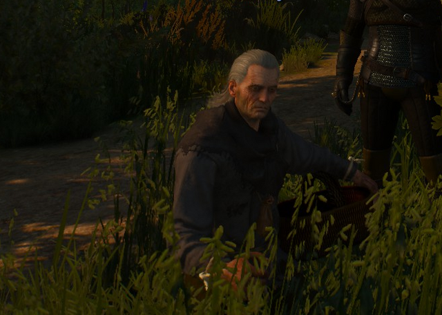File:Tw3 King Fisher and herbs.png