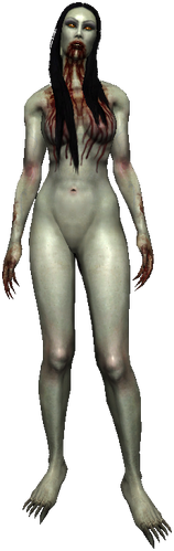 File:Bestiary Bruxa full.png