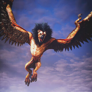 Griffin Creature Witcher Wiki Fandom Powered By Wikia