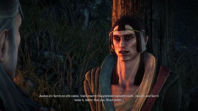File:Tw2 screenshot elvenprisoner.jpg