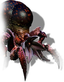 Tw2 journal arachas