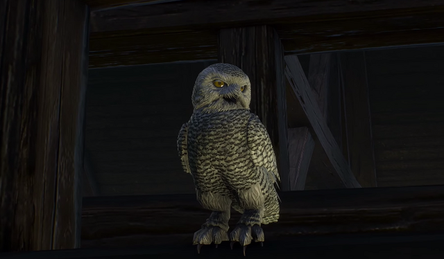 File:Owl Philippa.png