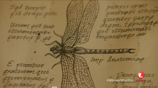 File:Impanastomia.png