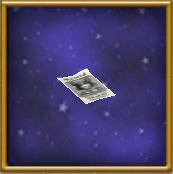 Discarded Newspaper