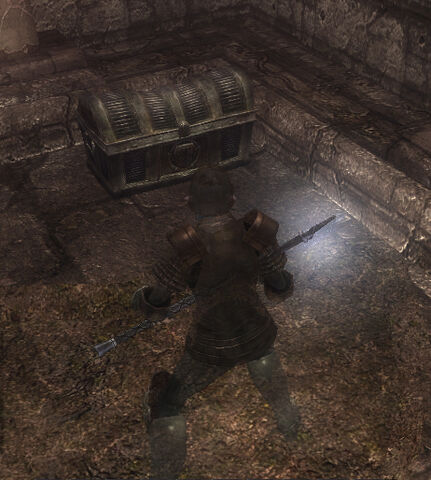 File:Special Treasure Chest.jpg