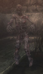 Swamp Fire