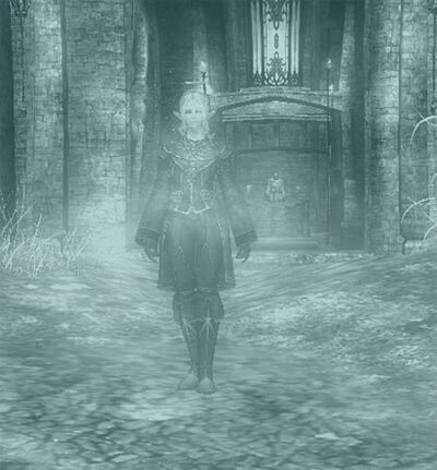 Summer-soul-npc