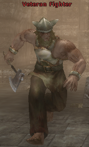 Veteran Fighter