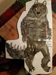 IMG-20161223-WA0017