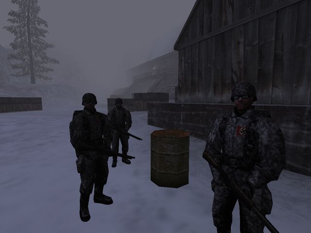 Plik:Bgsnow.jpg