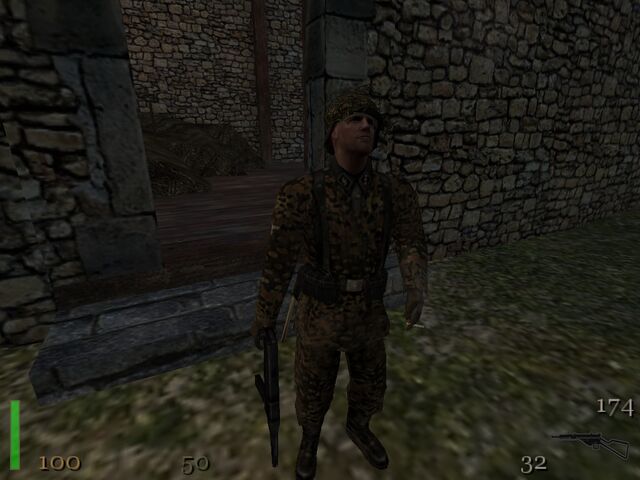 Plik:Waffenss.jpg