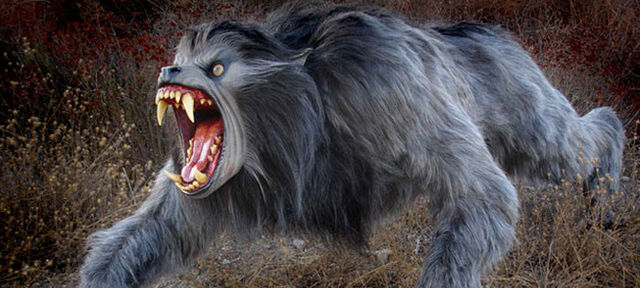 File:Kessler wolf.jpg