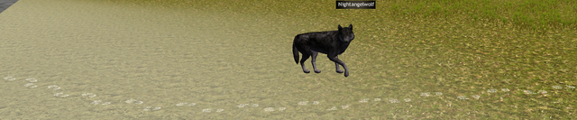 File:SC HIfootprints2.png