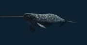 Images-7