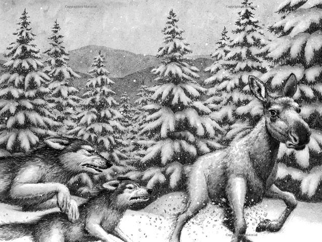 File:Frost Wolf 1.jpg