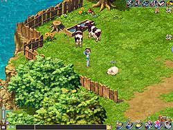 Sheep