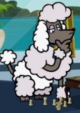 Victoria poodle