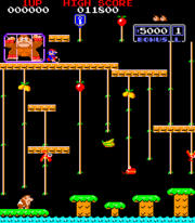 File:DK JR.png