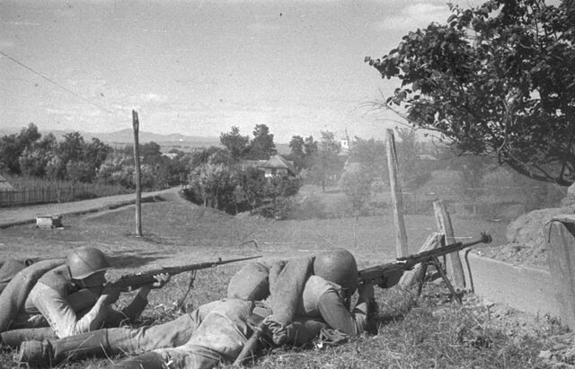 File:PTRS-41.jpg