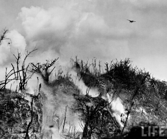 File:Life mag peleliu2.jpg