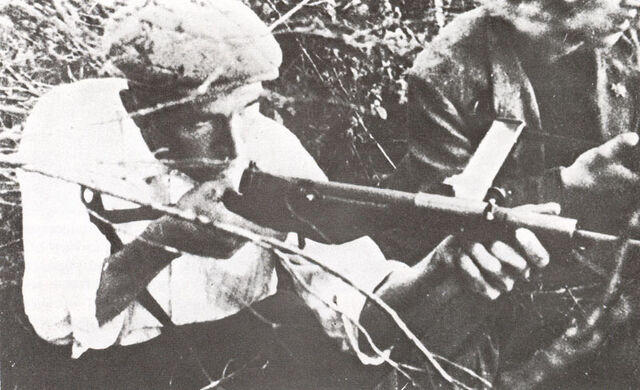 File:French-resistance-fighter-with-Sten-px800.jpg