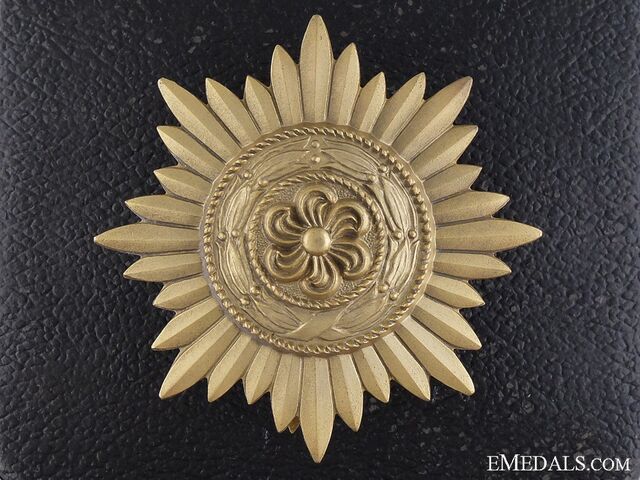 File:VolunteerMedalGold.jpg