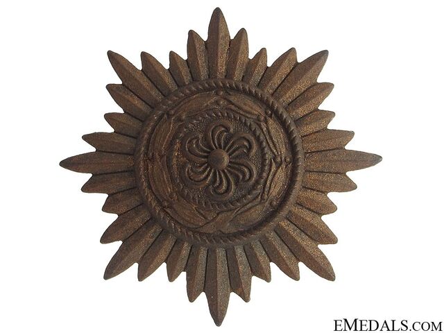 File:VolunteerMedalBronze.jpg