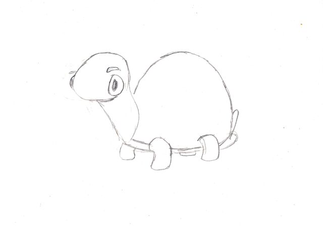 File:Turtle.jpg