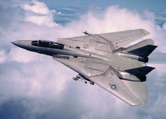 F-14 Tomcat