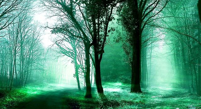 File:Theforestissilent.jpg