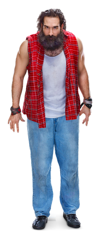 File:Luke Harper.png