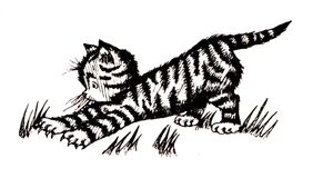 Tabby