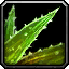 Swiftthistle