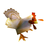 Chicken.png