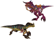 Raptors