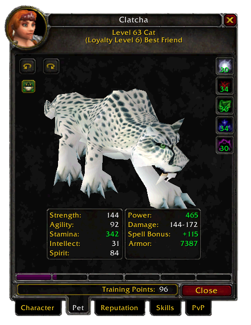 Best Cat Pet Tbc Wow Best Cat Pet Tbc Wow