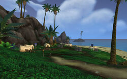 Alliance Beachead 02