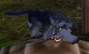 Panther Cub WoW 2