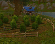 Mirror Lake Orchard