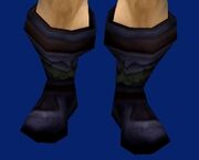 Glider's Boots