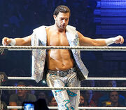WWE Fandango