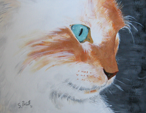 File:Cat.png