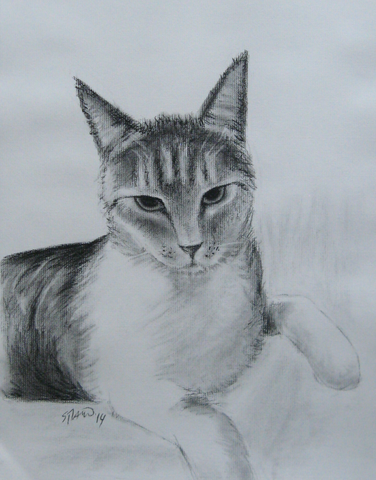 File:Feline Friend.png