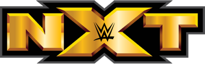 NXT Logo 2 2