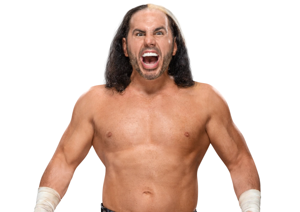 Matt Hardy WWE 2Ks FANDOM powered by Wikia