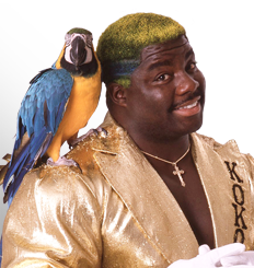 Koko B. Ware