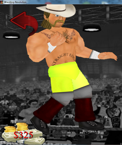 File:Thewooderinwrestlingrevolution.png