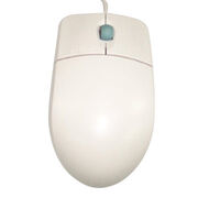 Computer Mouse.73174424-cb18a8031bb